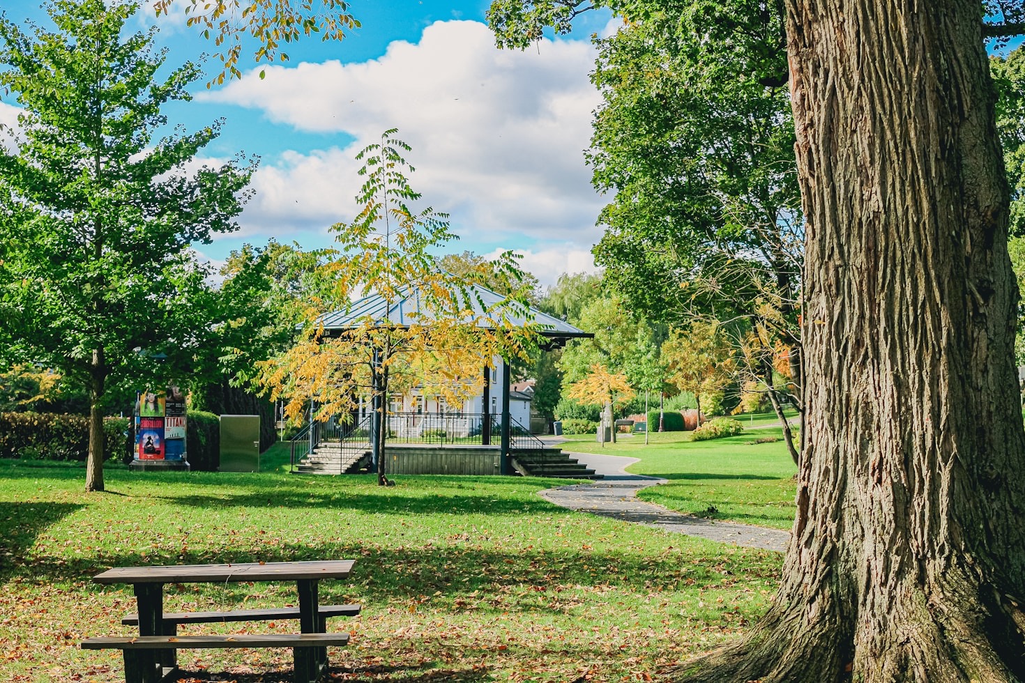 Choosing The Best Activities For All Ages
